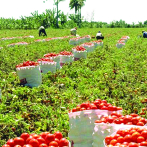 Sector agrícola registra “estrés hídrico” en frontera