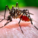 Santiago es provincia con mayor cantidad de casos de dengue este año