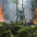 ¿Mejorar la calidad del aire aumenta los incendios forestales?
