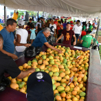 Expo Mango 2024 en Baní recibe cientos de personas