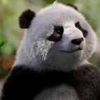 Tecnología: China presenta primer oso panda virtual impulsado por IA