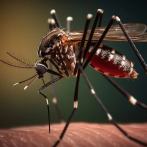 El 55% de los casos sospechosos de dengue reportados en el país presenta signos de alarma