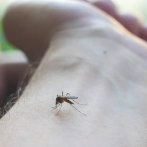 Casos de malaria se multiplican con dos brotes activos