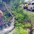 Fuertes vientos del huracán Beryl derriban techos y árboles en Barahona y Pedernales