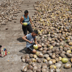 Así es Espíritu Santo, la isla remota de El Salvador que se mantiene haciendo aceite de coco