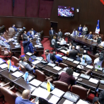 La Cámara de Diputados aprueba el Código Penal en primera lectura