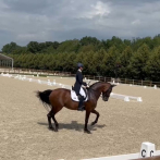 Yvonne Losos no clasifica a la final en la competencia ecuestre