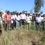 Agricultura dispone veda de cultivos hospederos de la flor de habichuela y mosca blanca en San Juan