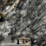 Gestión de los incendios forestales desata rabia y miedo entre los griegos