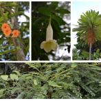 ¿Cuántas especies alberga el Jardín Botánico Nacional?