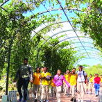 El Botánico de Santiago: Un Oasis de la Biodiversidad