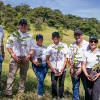 Fundación Ademi realiza jornada de reforestación