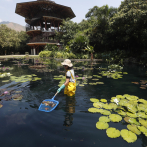 El jardín Botánico de Cali, el lugar donde se cuida el “oro verde” de Colombia