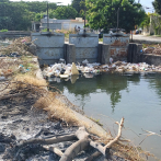 Los banilejos celebran que limpien canal contaminado por vertederos de basura