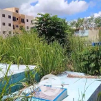 Maleza imposibilita búsqueda de tumbas en el Cristo Salvador