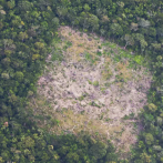 En menos de cuatro décadas la Amazonía perdió un área de bosques casi tan grande como Colombia