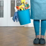 Vuelven a conocer proyecto que prohíbe a trabajadores domésticas utilizar uniformes en lugares públicos