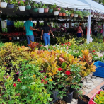 XVIII Festival Nacional de Plantas y Flores