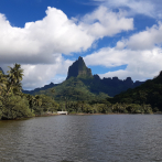 Más del 30% de plantas vive en islas, aunque estas ocupan poco más del 5% de la superficie terrestre