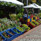 Coloridas estampas en el Festival Nacional de Plantas y Flores