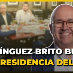 Domínguez Brito busca sustituir a Danilo Medina en el liderazgo del PLD