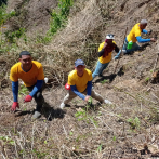 Presos continúan con la reforestación en cuenca del río Nizao