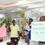 Agricultores reclaman Punta Catalina les pague por daños causados a sus cultivos