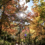 Otoño en la granja Wuling