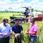 Productores del Cibao apoyan arancel al arroz