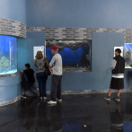 El Acuario Nacional reabre sus puertas tras un año en remodelación