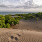 Comisión Ambiental de la UASD rechaza propuesta de “delimitar” Dunas de Baní