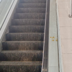 Mal olor y suciedad por presencia de palomas en estación del Metro Gregorio Urbano Gilbert
