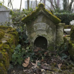 Perder es una mascota es más doloroso de lo que muchos piensan: Así puedes ayudar a tus amigos