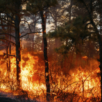 Incendios forestales provocan evacuaciones y una declaración de emergencia en las Carolinas