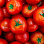 EEUU impondrá aranceles del 17% a tomates importados de México