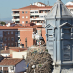 ¿Qué hay que hacer para conseguir la nacionalidad española? Estos son los nuevos requisitos