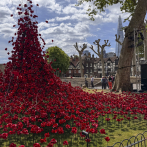 La Torre de Londres se llena de amapolas para conmemorar el 80 aniversario de la IIGM