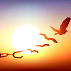 Mirando con honestidad los aprendizajes de la vida