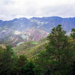 Arroz con mango y libre albedrío en la gestión del territorio: aquellas aguas trajeron estos lodos