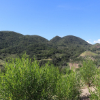 Tres pasos hacia una adaptación climática en República Dominicana