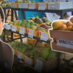 Baní “La Capital del mango” recibe a miles de visitantes durante la Expo Mango 2025