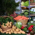 Festival de la Cosecha en Constanza regresa con la papa como producto insignia