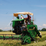 Arroceros demandan frenar importaciones