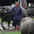 Reunión de paz entre Camboya y Tailandia