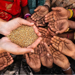 Erradicar el hambre en Latinoamérica: una meta posible que requiere voluntad política