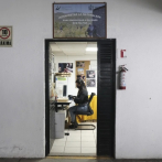 ¿Por qué los científicos visten a los cerdos con ropa y los entierran en México?