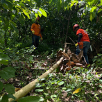 Necropsia determinará causas de muerte de niño de 2 años desaparecido en El Seibo