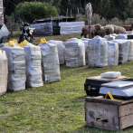 Incautan más de dos toneladas de cocaína en Uruguay