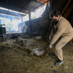 Oeste y noroeste de España consumidos por los incendios