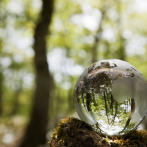 Biosfera en peligro: estudio revela riesgo en el 60% de la tierra